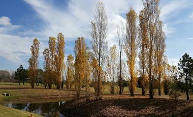 Casa en venta - 3 Dormitorios 5 Baños - 1.200Mts2 - Cañuelas