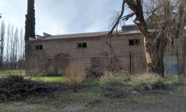 Chacra - Villa Regina