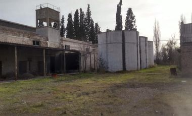 Chacra - Villa Regina