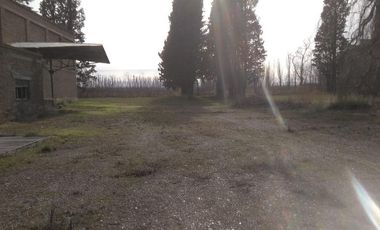 Chacra - Villa Regina