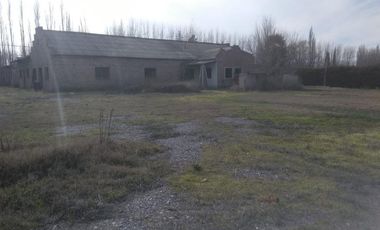 Chacra - Villa Regina