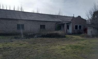 Chacra - Villa Regina