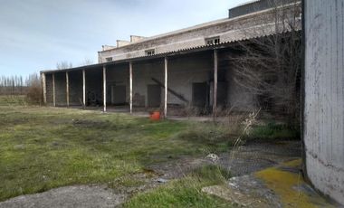 Chacra - Villa Regina