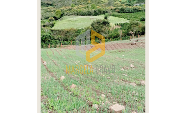 VENDEMOS LOTE VEREDA ZARAGOZA - MUNICIPIO DE YACUANQUER.MB