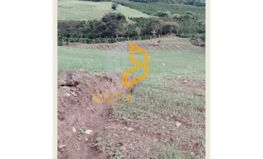 VENDEMOS LOTE VEREDA ZARAGOZA - MUNICIPIO DE YACUANQUER.MB