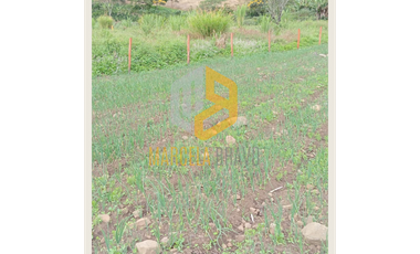 VENDEMOS LOTE VEREDA ZARAGOZA - MUNICIPIO DE YACUANQUER.MB