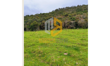 MAGNIFICO LOTE EN VENTA EN CABRERA.SC