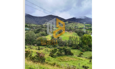 MAGNIFICO LOTE EN VENTA EN CABRERA.SC
