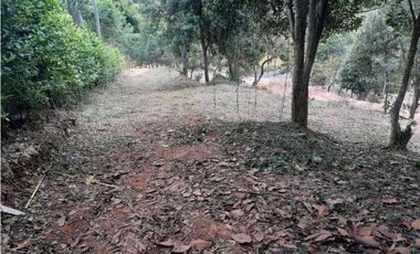 Se vende hermoso lote  ruitoque