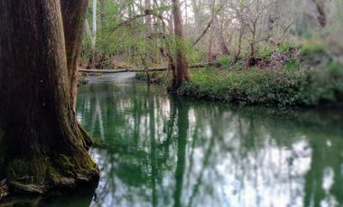 QUINTA EN VENTA EN MONTEMORELOS N.L.