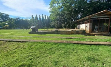 Finca En Venta en Pueblo Nuevo La Chorrera