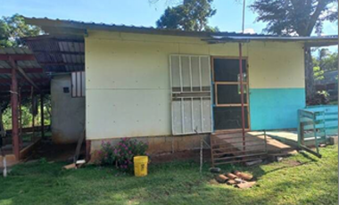 Finca En Venta en Pueblo Nuevo La Chorrera