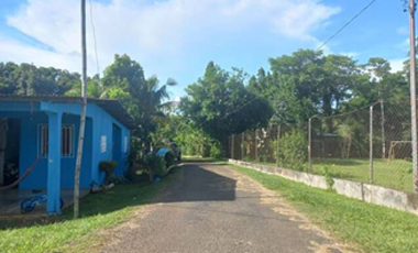 Finca En Venta en Pueblo Nuevo La Chorrera