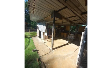 Finca En Venta en Pueblo Nuevo La Chorrera