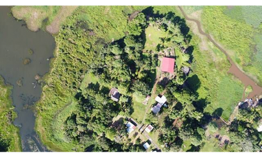 Finca En Venta en Pueblo Nuevo La Chorrera