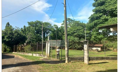 Finca En Venta en Pueblo Nuevo La Chorrera