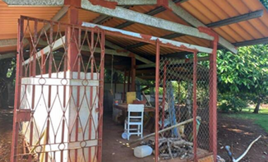 Finca En Venta en Pueblo Nuevo La Chorrera