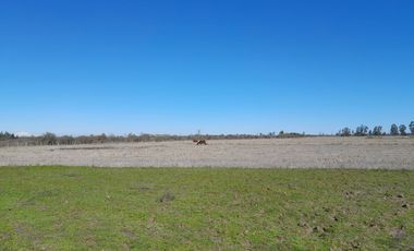 Lindo Campo Para Desarrollo Inmobiliario