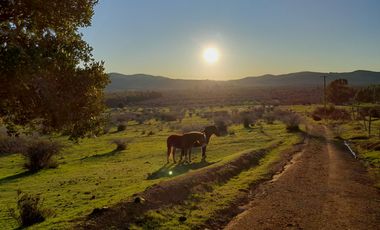 Lindo Campo Para Desarrollo Inmobiliario