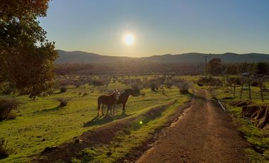 Lindo Campo Para Desarrollo Inmobiliario