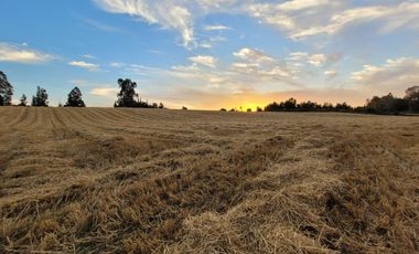 Lindas Parcelas De 5.000 En Sector Muy Tranquilo!