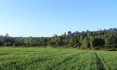 Lindas Parcelas De 5.000 En Sector Muy Tranquilo!