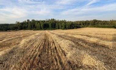 Lindas Parcelas De 5.000 En Sector Muy Tranquilo!