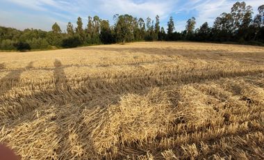 Lindas Parcelas De 5.000 En Sector Muy Tranquilo!