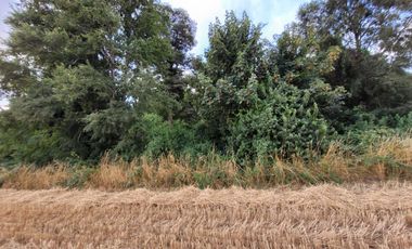 Lindas Parcelas De 5.000 En Sector Muy Tranquilo!