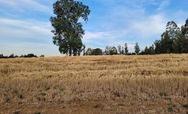 Lindas Parcelas De 5.000 En Sector Muy Tranquilo!