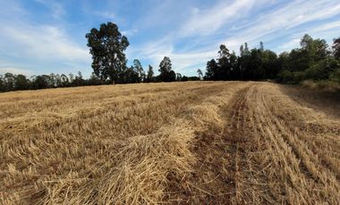 Lindas Parcelas De 5.000 En Sector Muy Tranquilo!