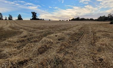 Lindas Parcelas De 5.000 En Sector Muy Tranquilo!