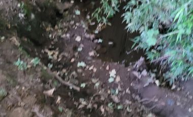 Lindas Parcelas De 5.000 En Sector Muy Tranquilo!