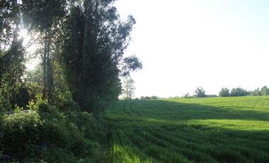 Lindas Parcelas De 5.000 En Sector Muy Tranquilo!