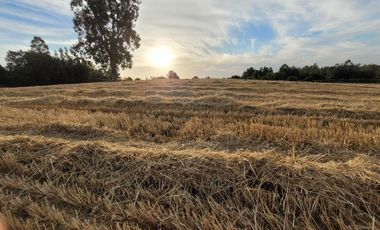 Lindas Parcelas De 5.000 En Sector Muy Tranquilo!