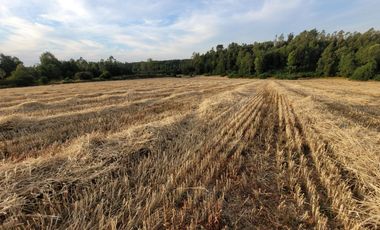 Lindas Parcelas De 5.000 En Sector Muy Tranquilo!