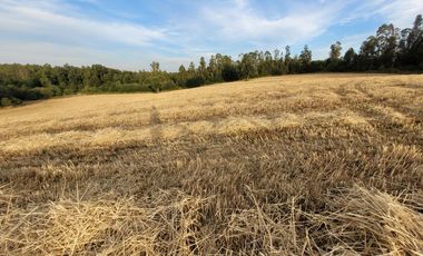 Lindas Parcelas De 5.000 En Sector Muy Tranquilo!