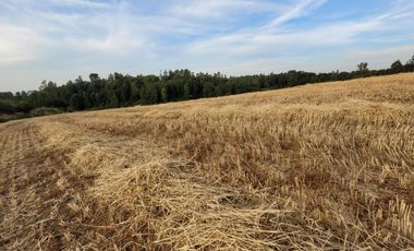 Lindas Parcelas De 5.000 En Sector Muy Tranquilo!