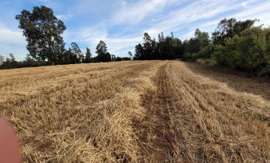 Lindas Parcelas De 5.000 En Sector Muy Tranquilo!