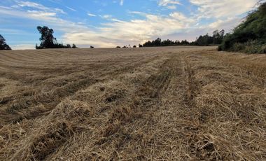 Lindas Parcelas De 5.000 En Sector Muy Tranquilo!