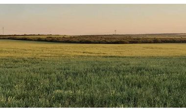 Campo en venta de 312 hectáreas, médanos