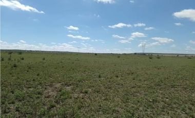Campo en venta de 312 hectáreas, médanos