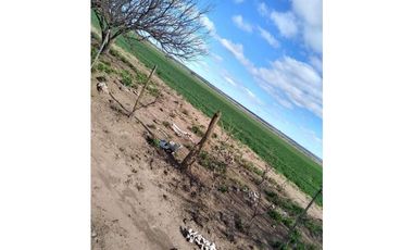 Campo en venta de 312 hectáreas, médanos