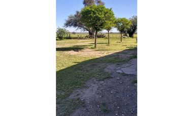 Campo en venta de 312 hectáreas, médanos