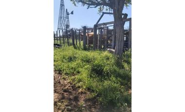 Campo en venta de 312 hectáreas, médanos