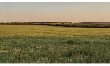 Campo en venta de 312 hectáreas, médanos