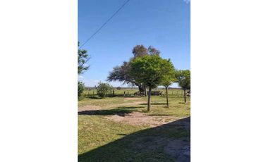 Campo en venta de 312 hectáreas, médanos