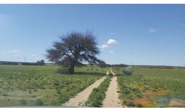 Campo en venta de 312 hectáreas, médanos