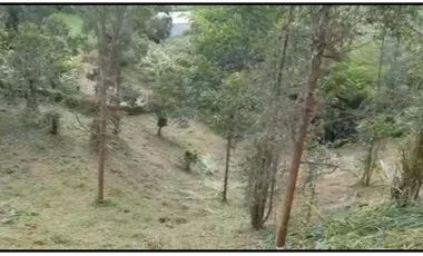 LOTE MARINILLA VEREDA CIMARRONAS A 5 MINUTOS DE CUATRO ESQUINAS