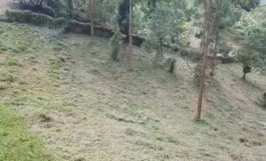 LOTE MARINILLA VEREDA CIMARRONAS A 5 MINUTOS DE CUATRO ESQUINAS